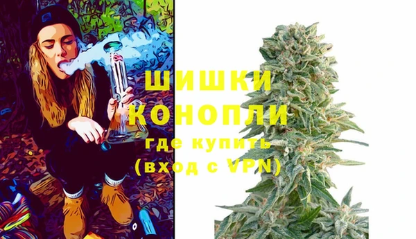 стафф Надым