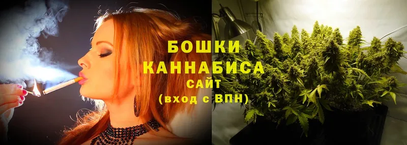 Каннабис SATIVA & INDICA  Дорогобуж 